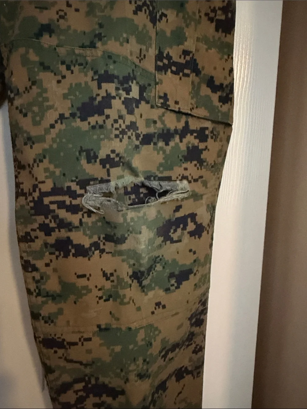 Men's Camo Cargo Pants - Green Digital Woodland